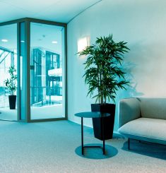 craig-lovelidge-jjM9eDydL68-unsplash